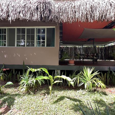 Monkey Lodge Panama Chilibre Exterior foto