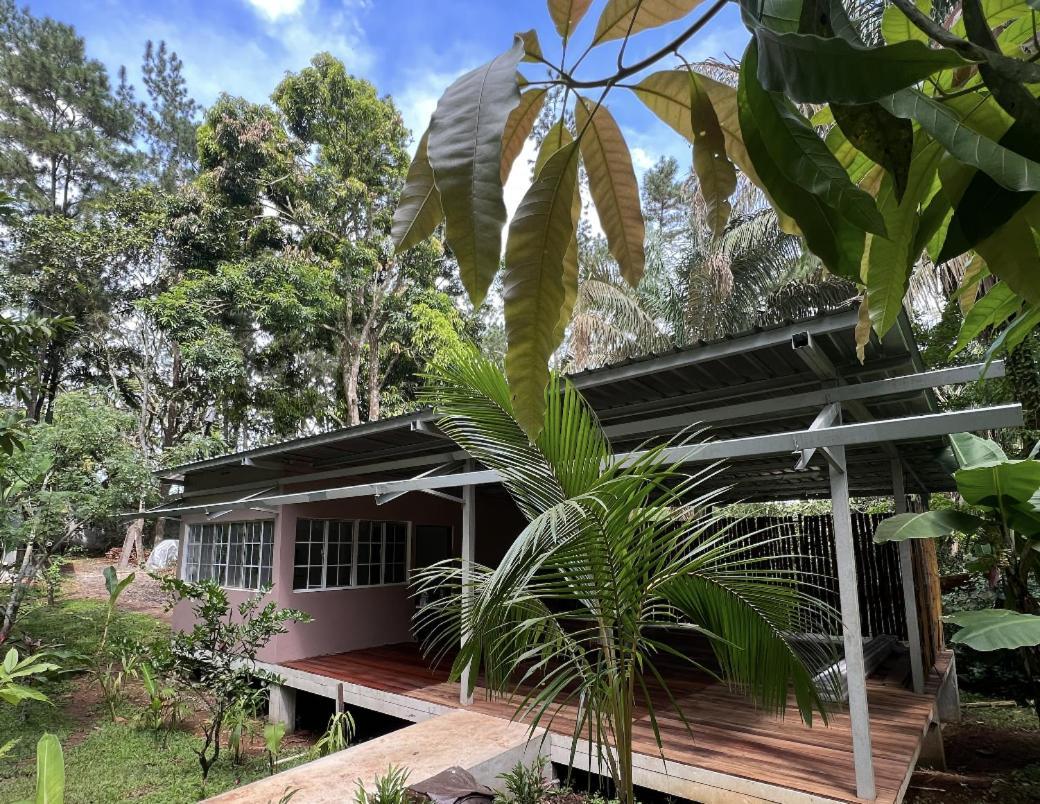 Monkey Lodge Panama Chilibre Exterior foto