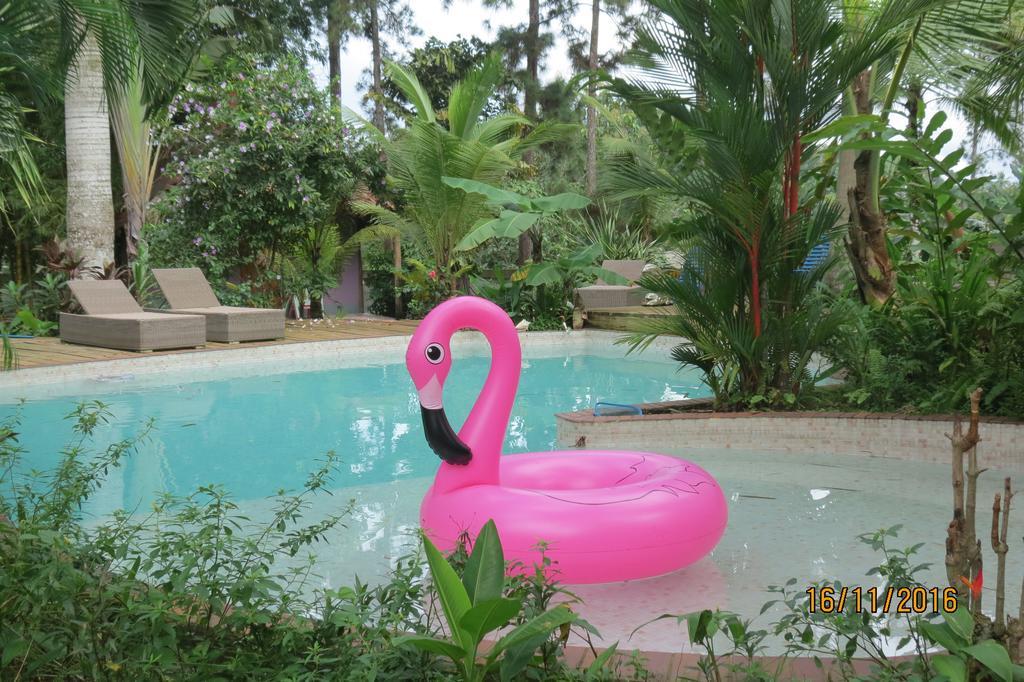 Monkey Lodge Panama Chilibre Exterior foto