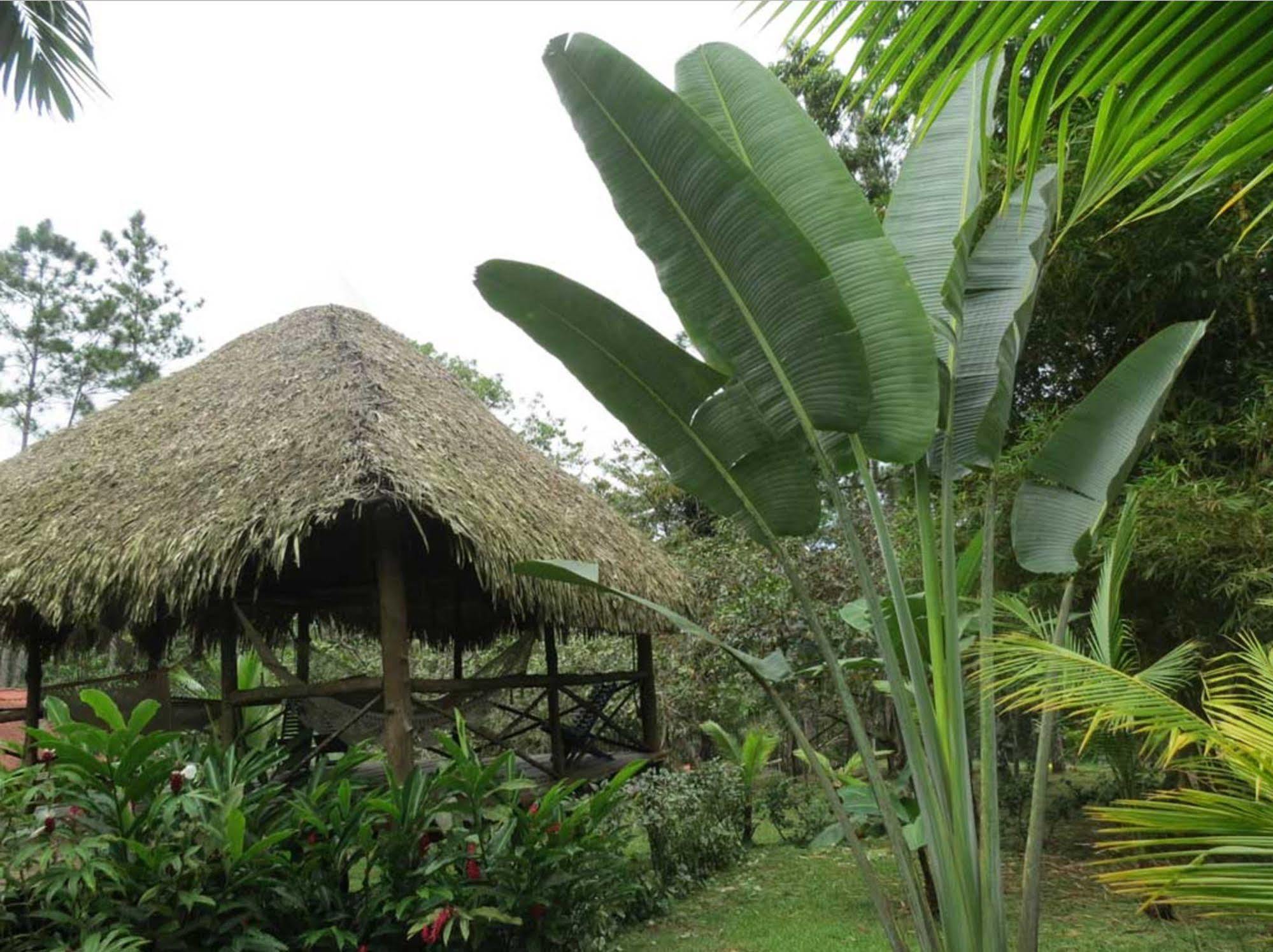 Monkey Lodge Panama Chilibre Exterior foto